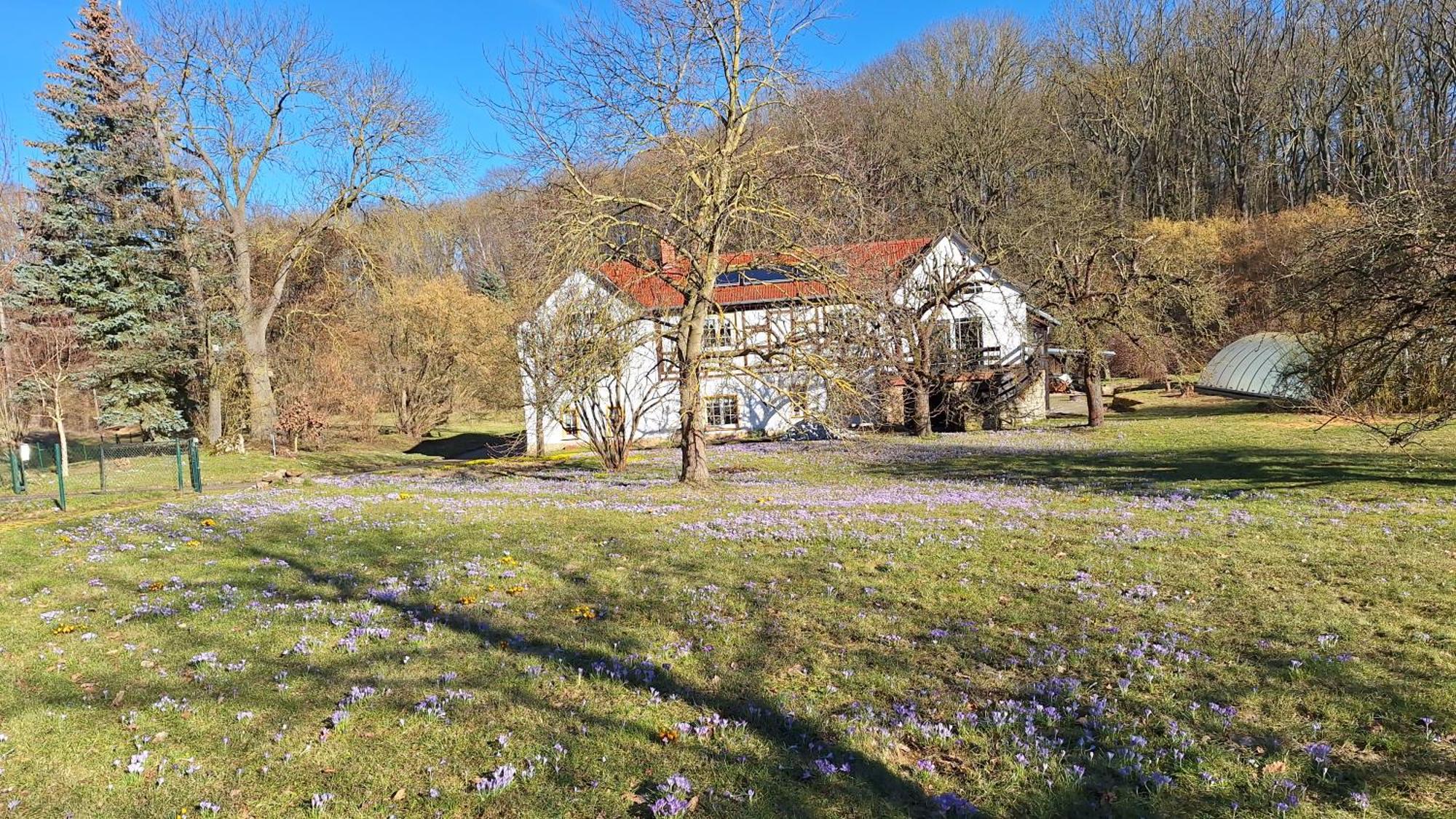 Ferienwohnung Obermuehle Ballstädt 객실 사진