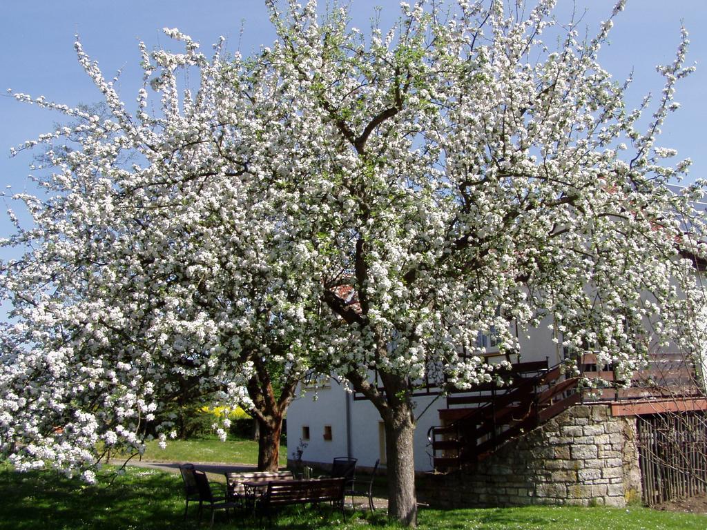 Ferienwohnung Obermuehle Ballstädt 객실 사진