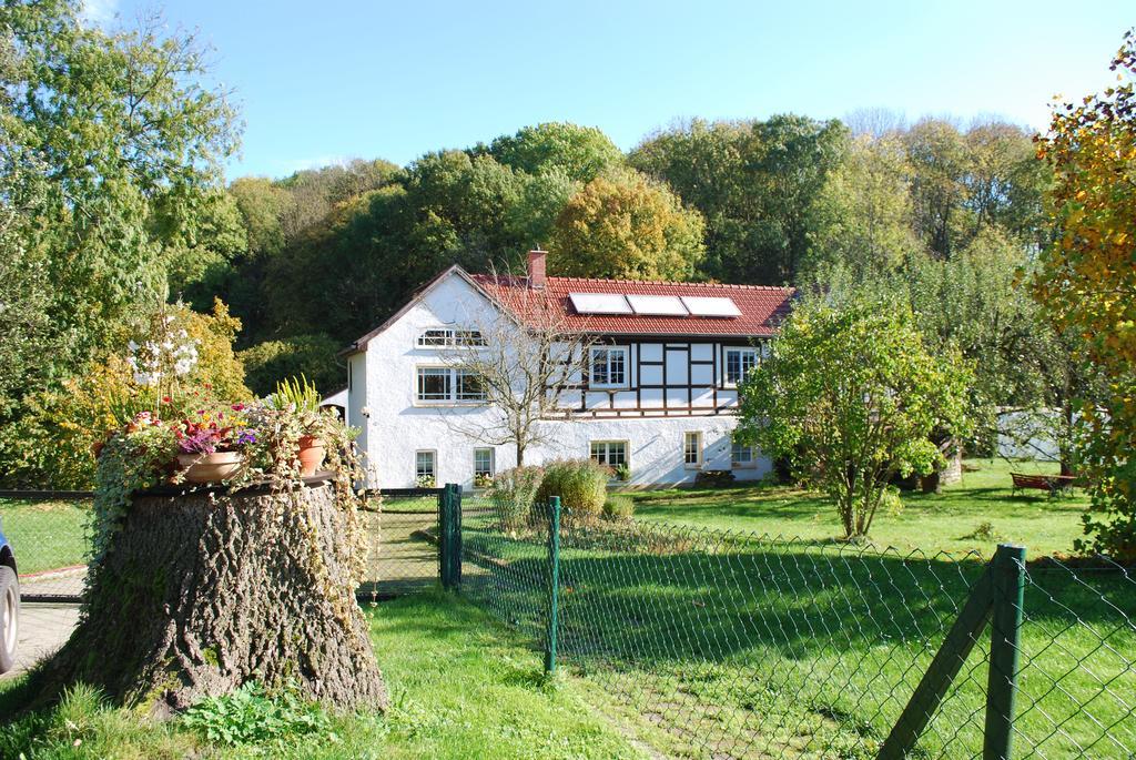Ferienwohnung Obermuehle Ballstädt 객실 사진
